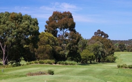 ringwood_golf_club_2